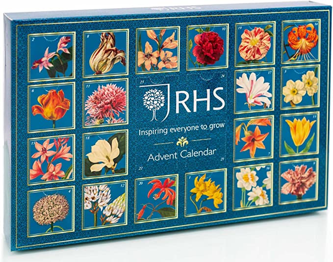 Sip the Season: Tea Advent Calendar 2023 with 24 Unique Flavours