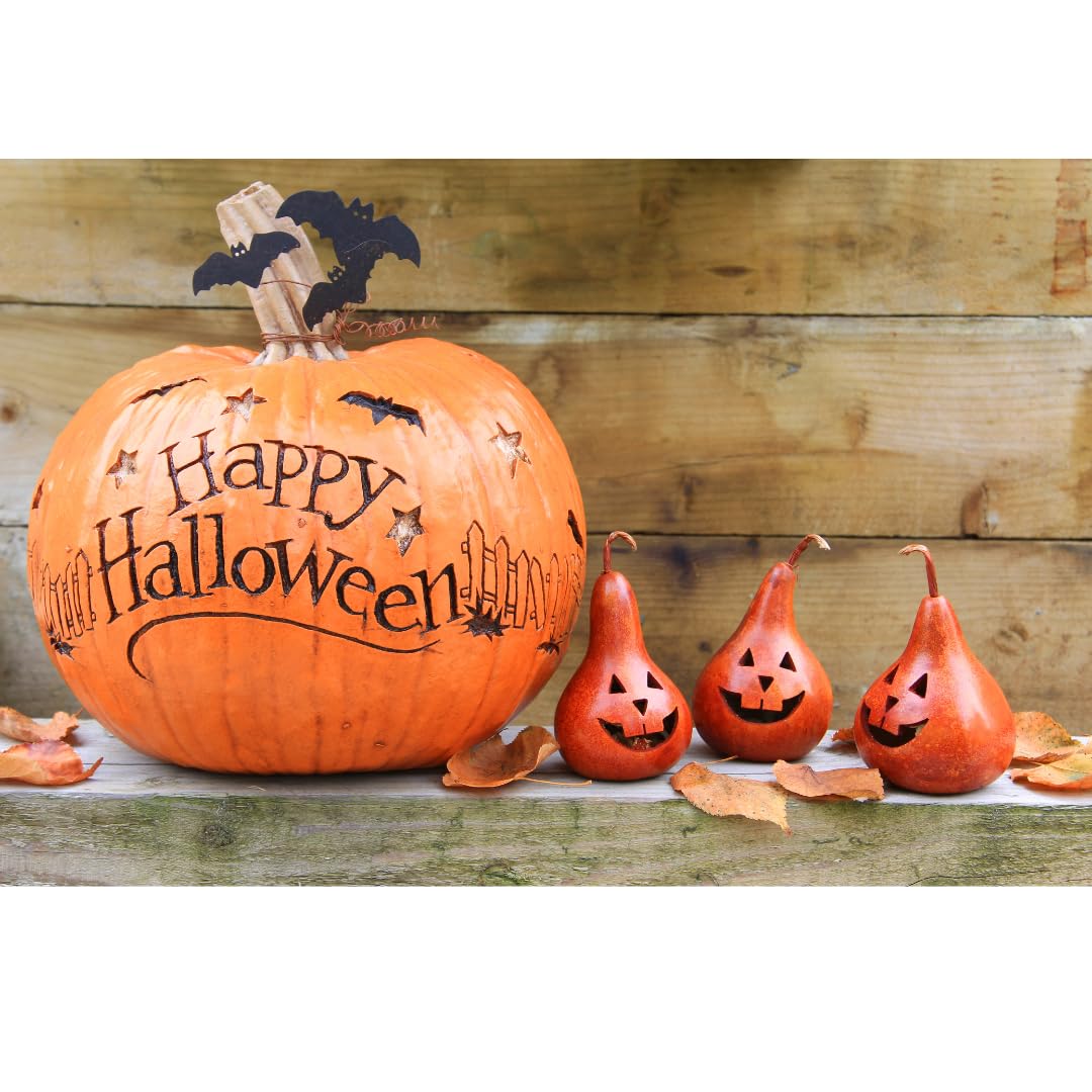 Halloween sweets & chocolates party bag fillers | Halloween sweet bags of chocolate pumpkins | Milk chocolate pralines | Halloween gifts party bag fillers & treats for kids men women | bulk sweets