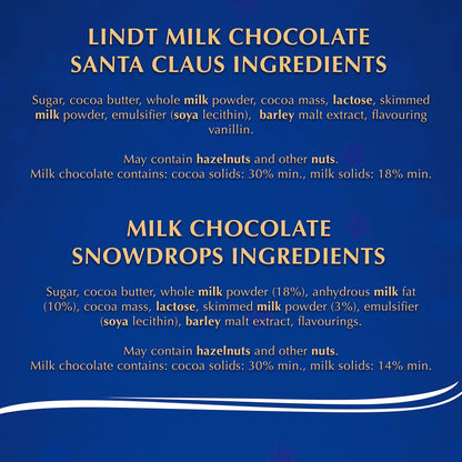 Lindt Advent Calendar 160 g Parent